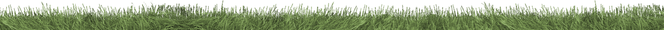 grass seperator
