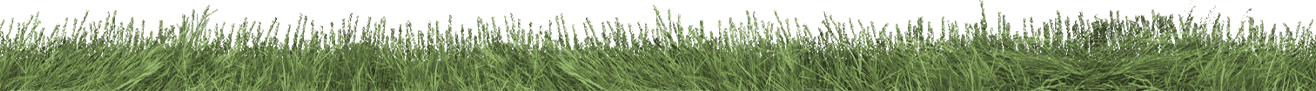 grass seperator