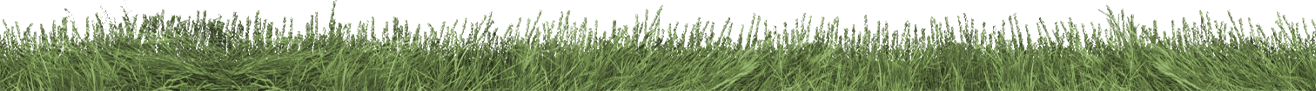 grass seperator