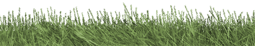 grass seperator