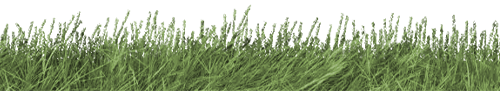 grass seperator